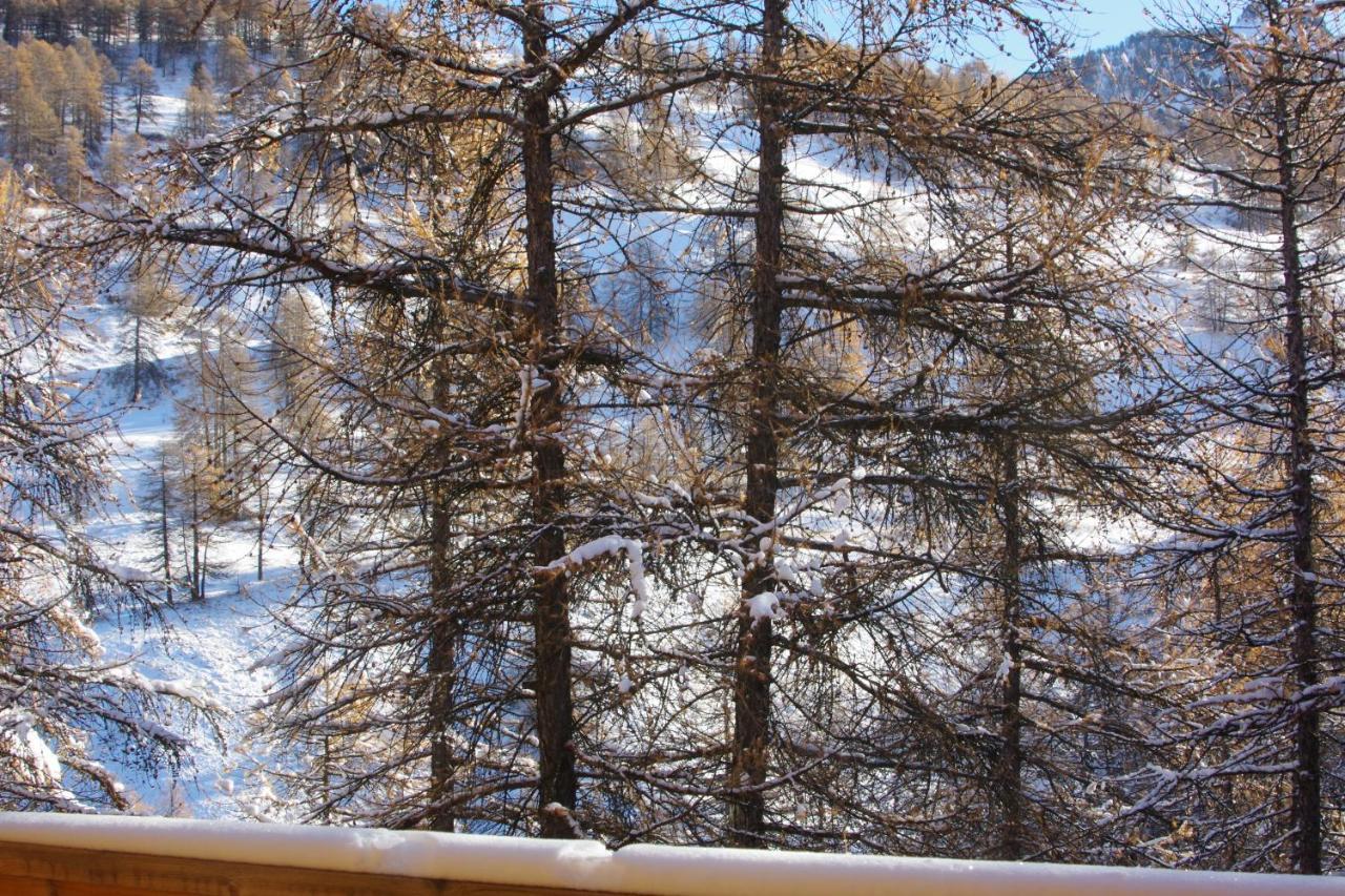 Spacieux Et Fonctionnel Dans Ecrin Des Neiges Vars  Zewnętrze zdjęcie